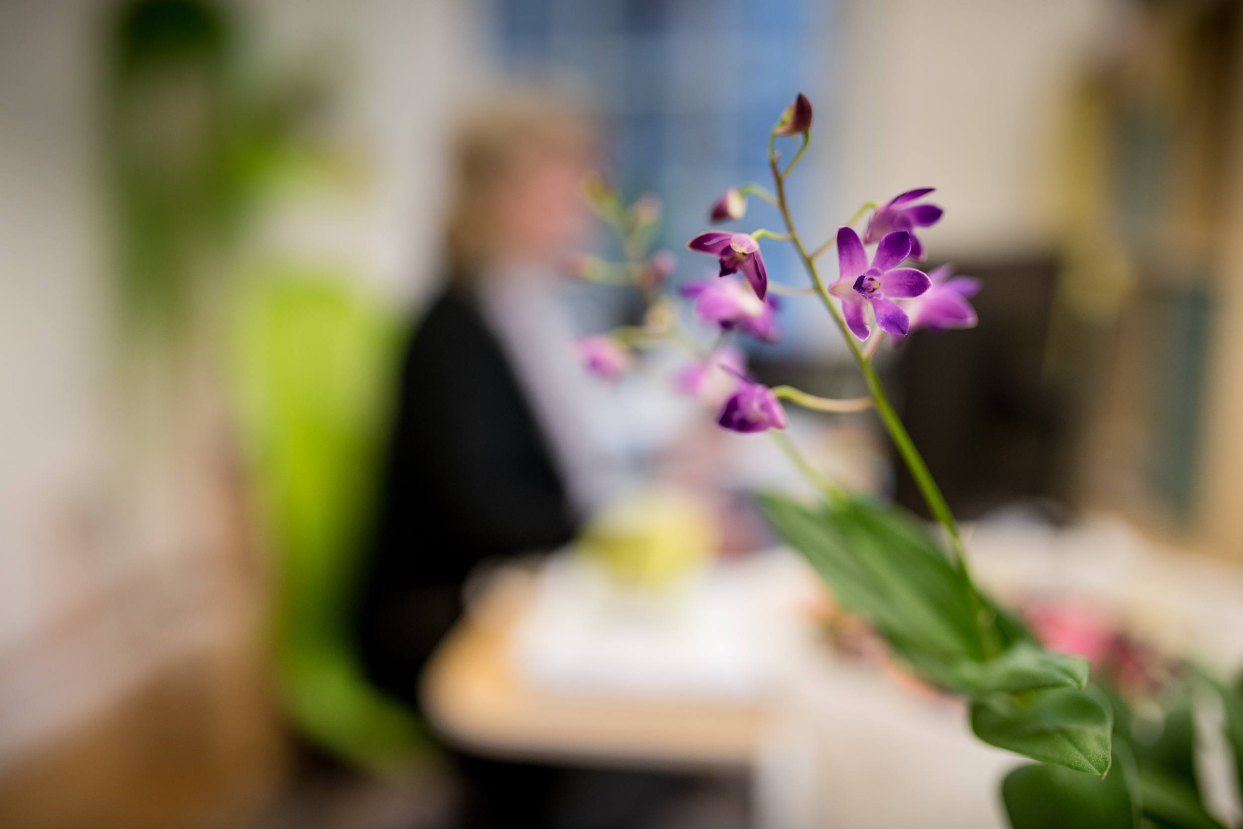 Nahaufnahme einer lila Orchideenblüte vor unscharfem Hintergrund mit sitzender Person und Schreibtisch